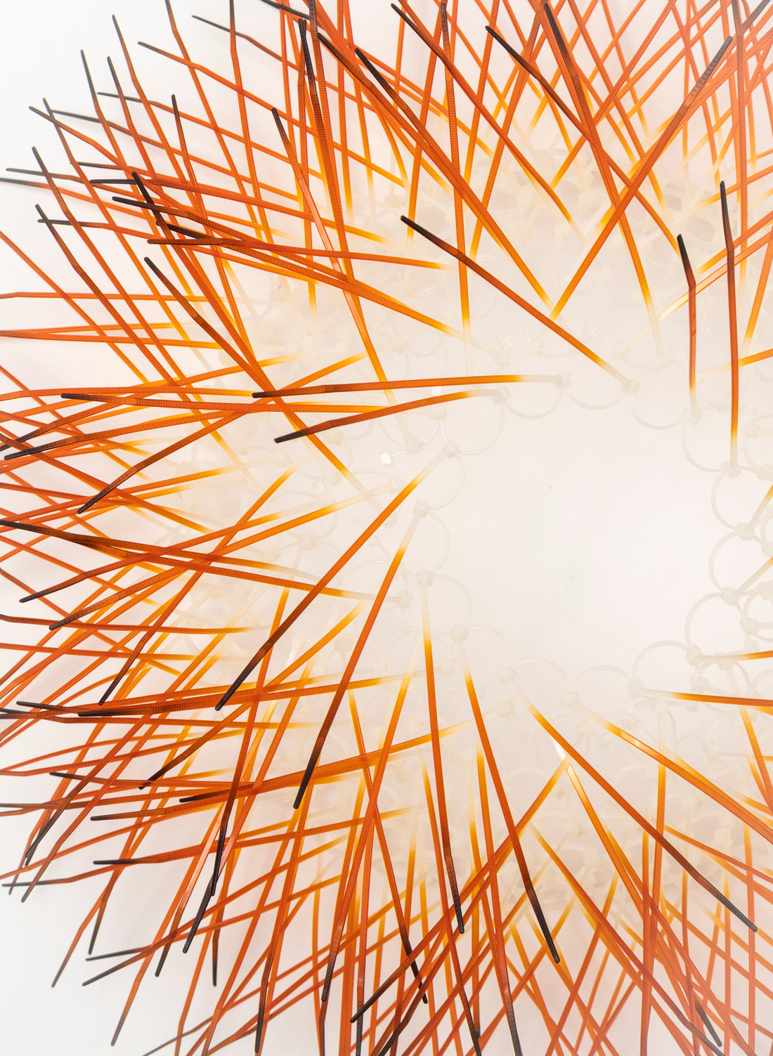 Large Kina - Burnt Orange