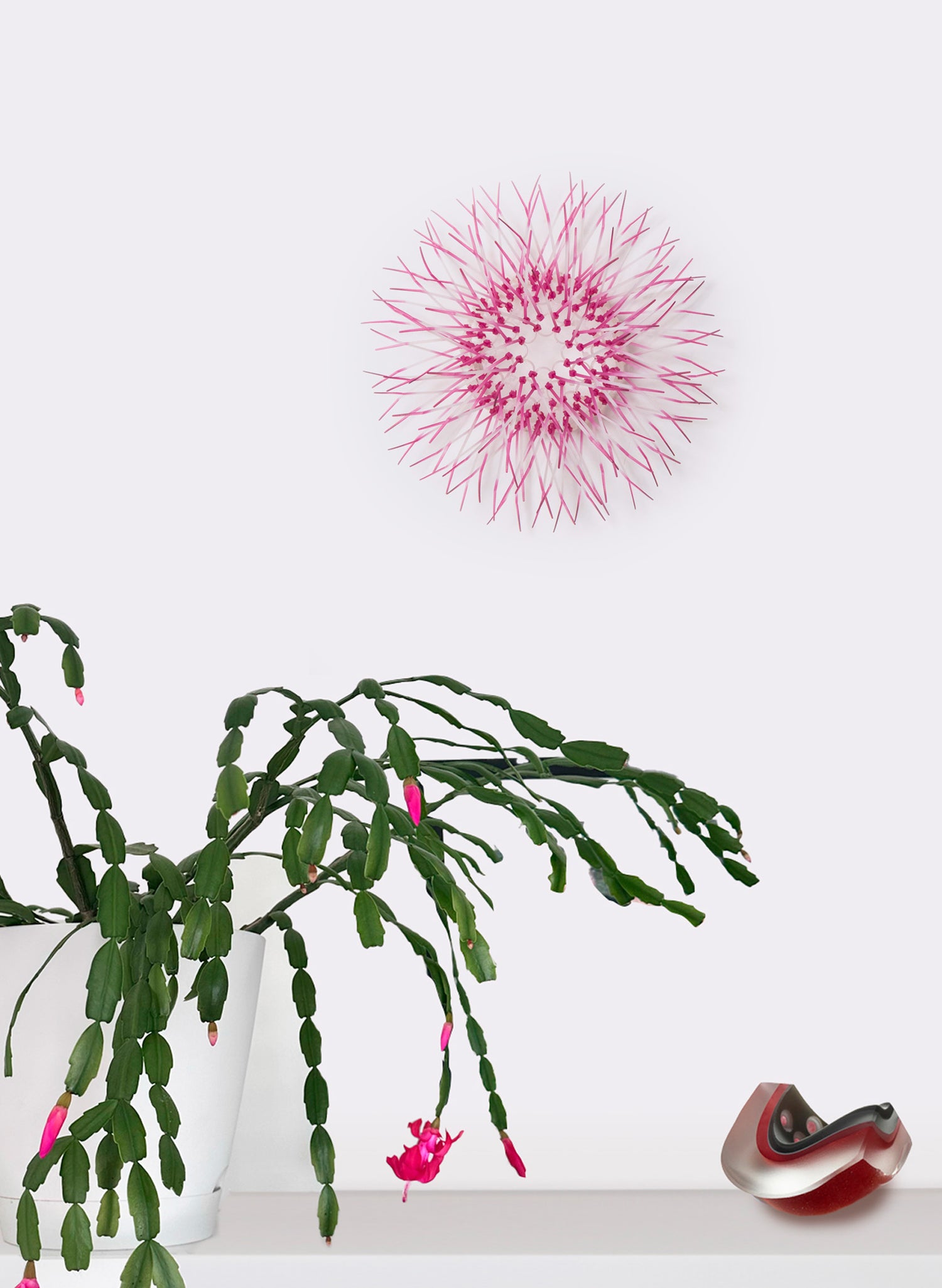 Mini Kina - Pink / Pink