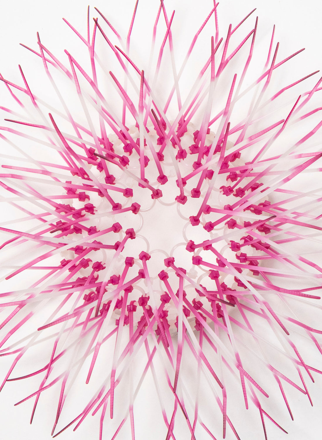 Mini Kina - Pink / Pink