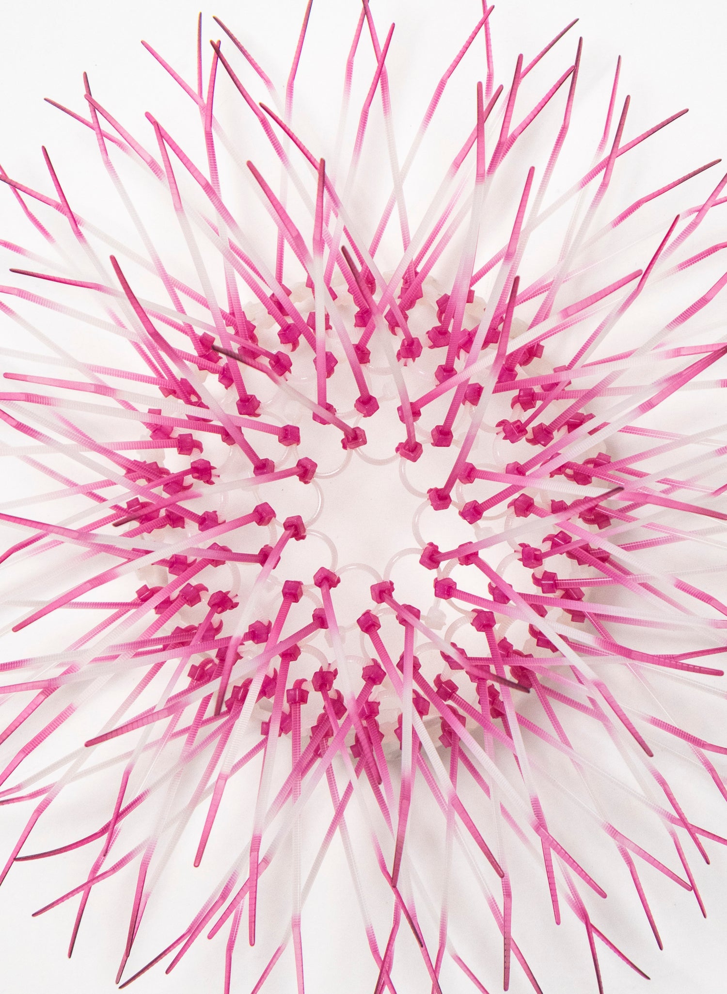 Mini Kina - Pink / Pink