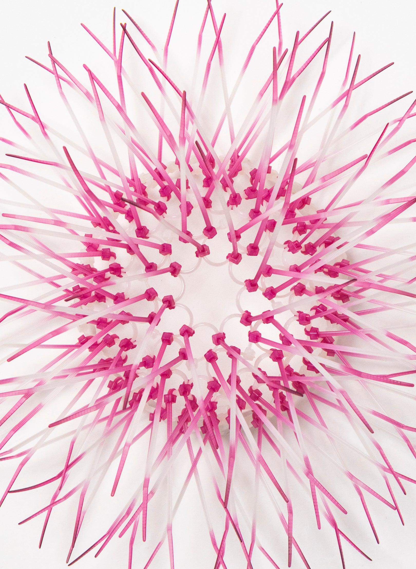 Mini Kina - Pink / Pink