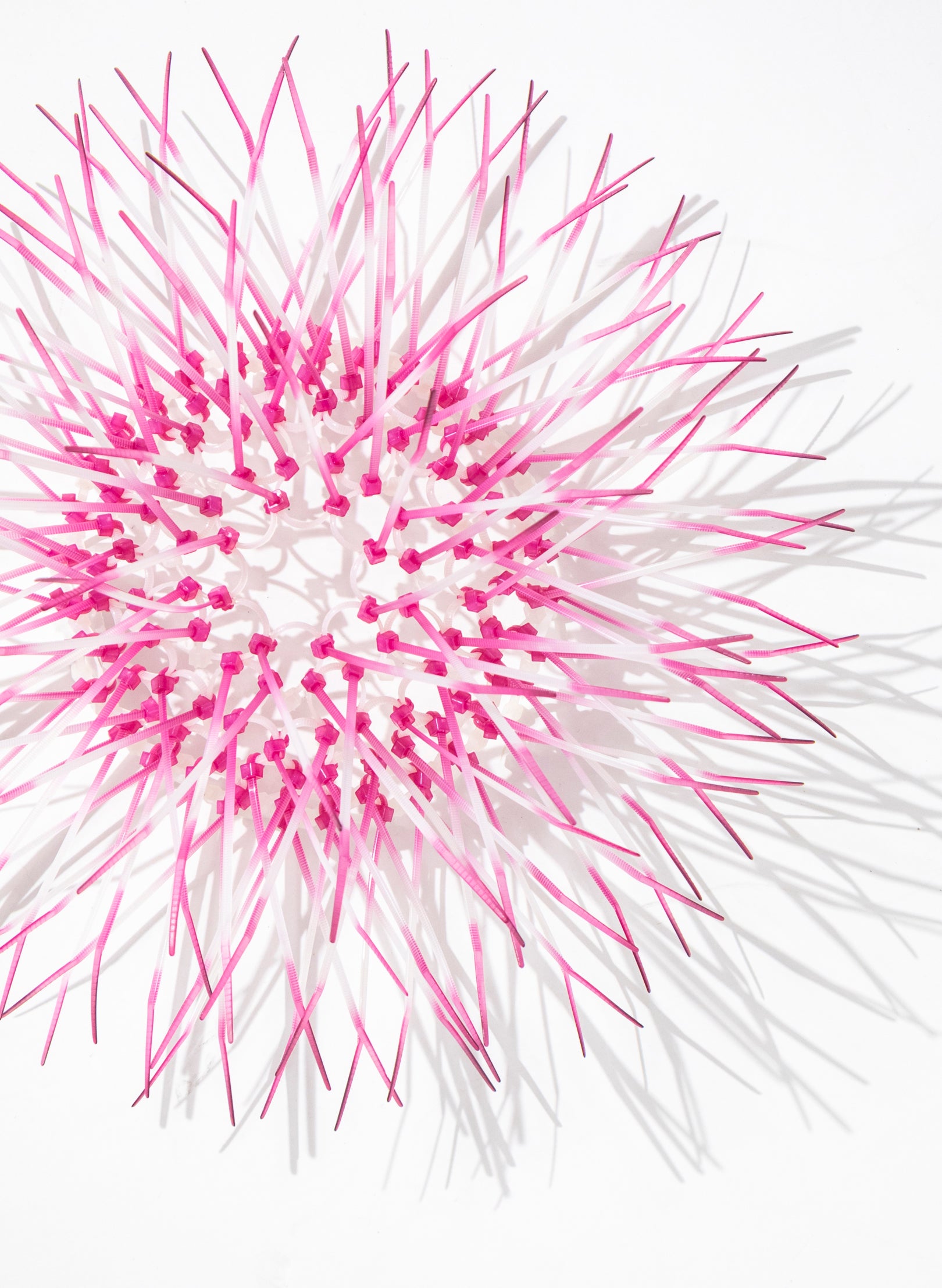 Mini Kina - Pink / Pink