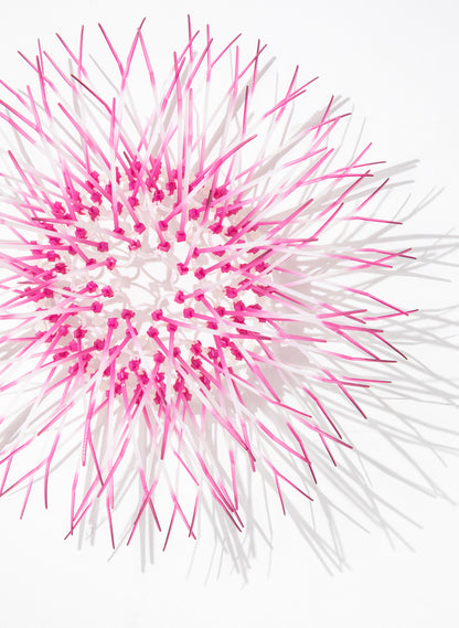 Mini Kina - Pink / Pink