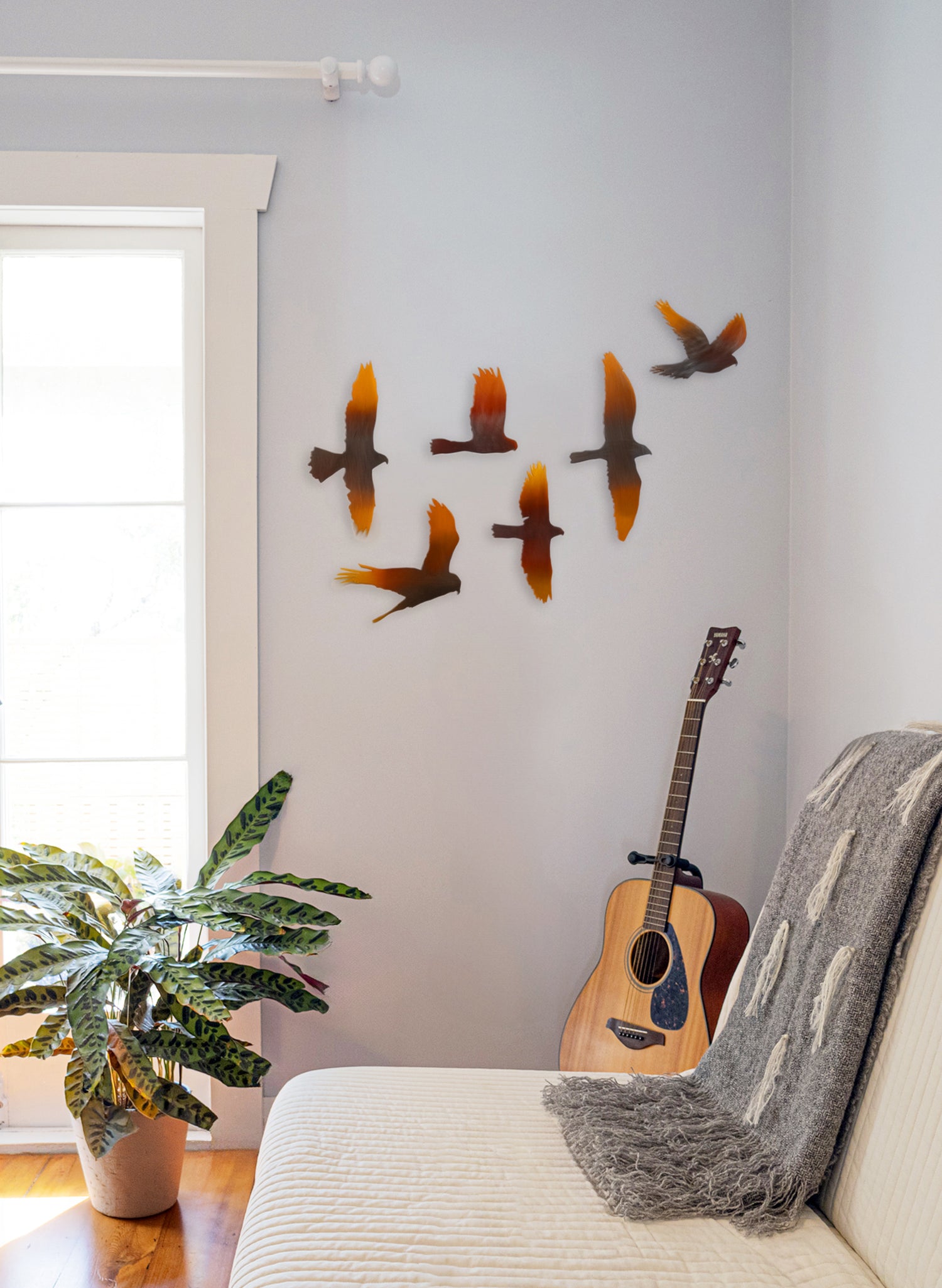 Kārearea Flock