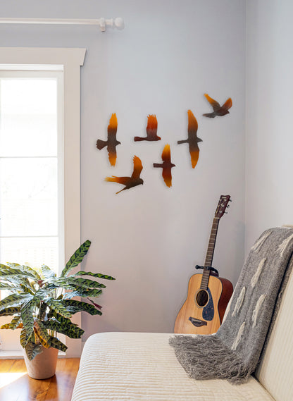 Kārearea Flock