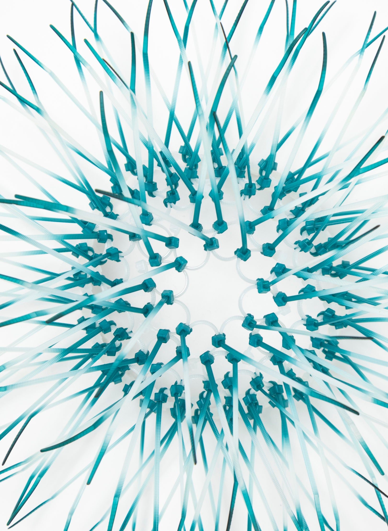Mini Kina - Teal