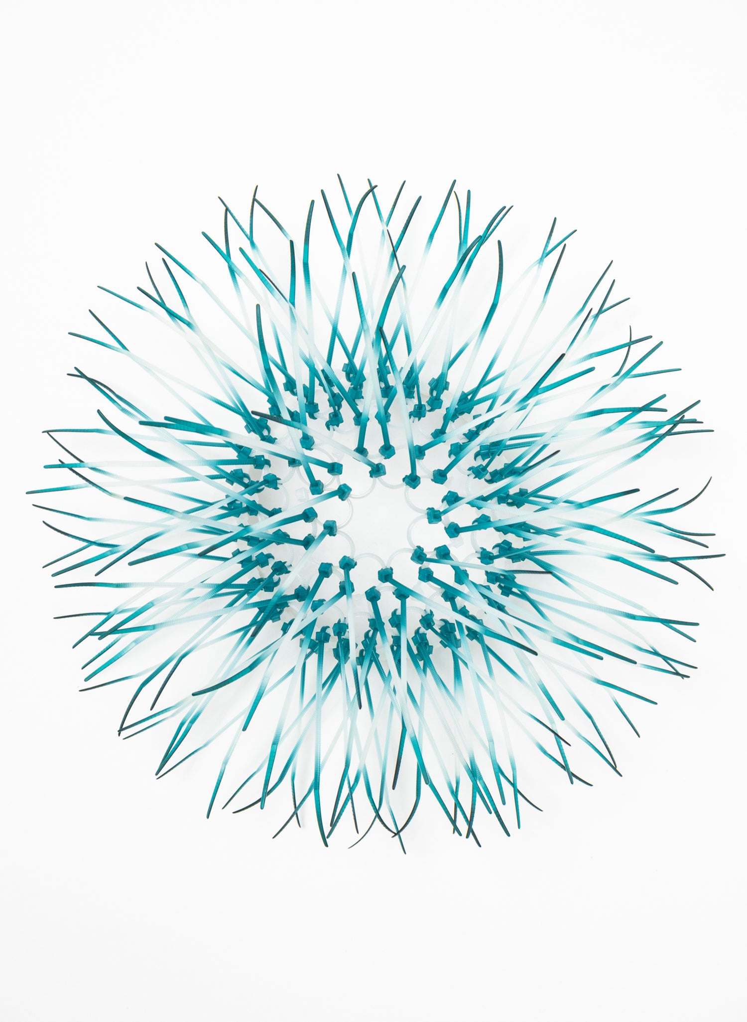 Mini Kina - Teal