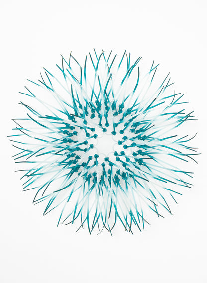 Mini Kina - Teal