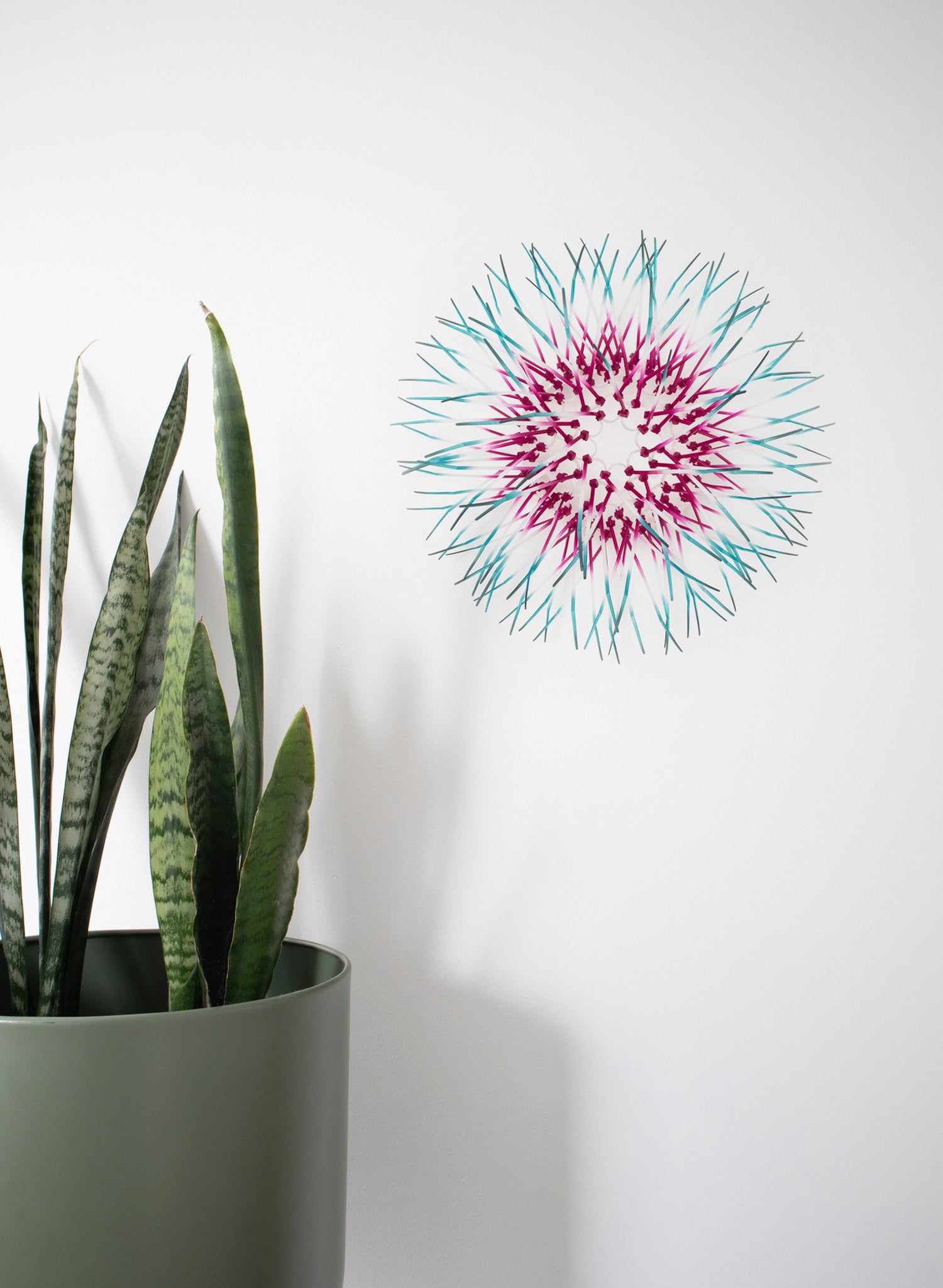 Mini Kina - Fuchsia / Teal