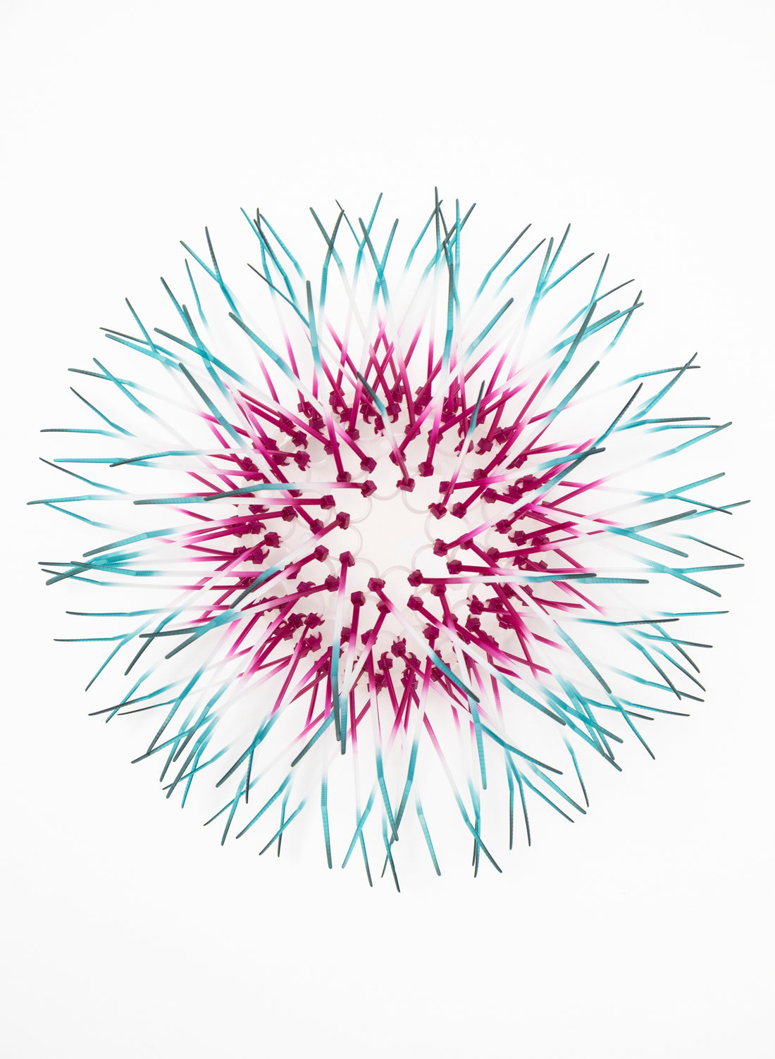 Mini Kina - Fuchsia / Teal