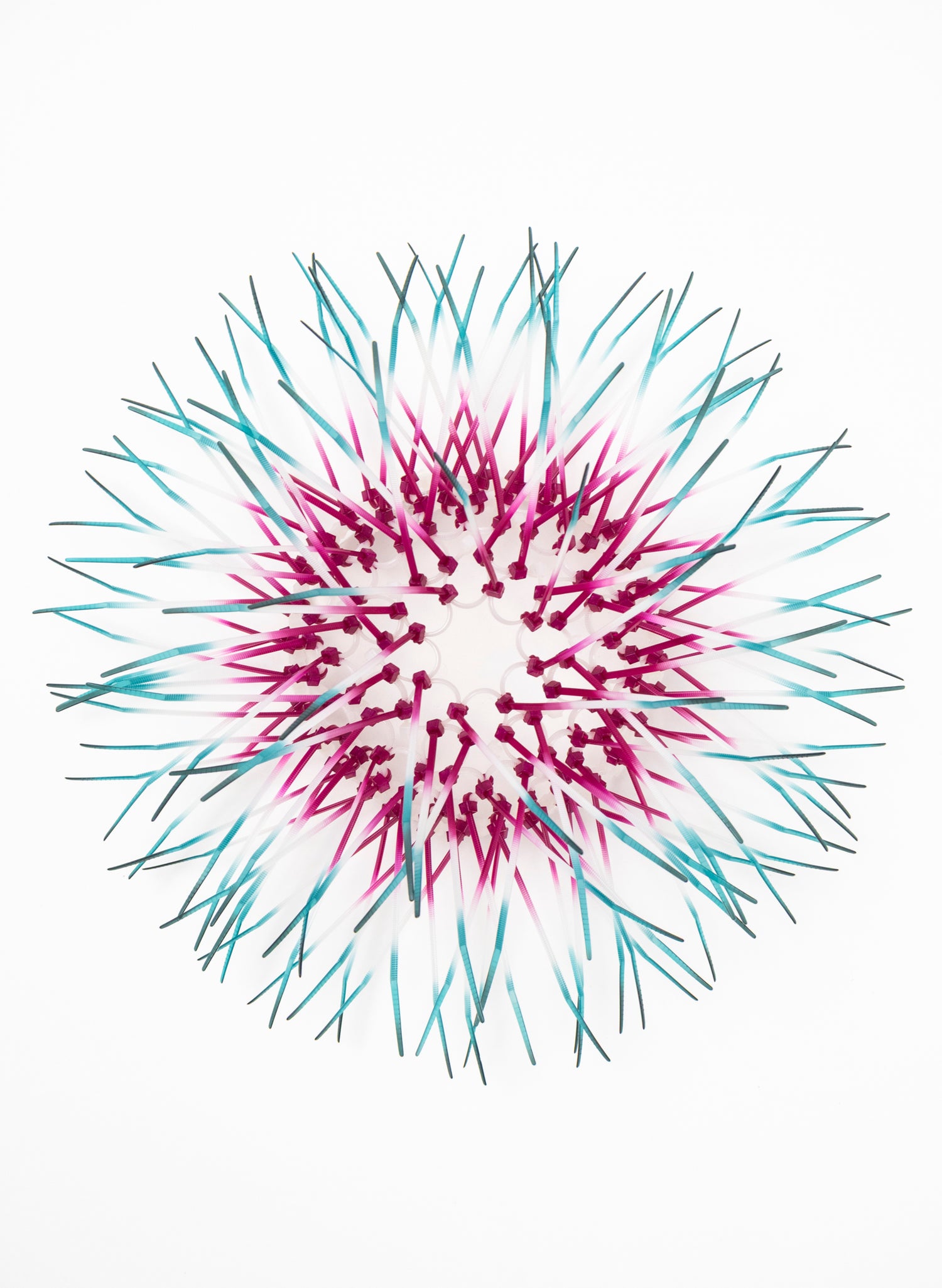 Mini Kina - Fuchsia / Teal
