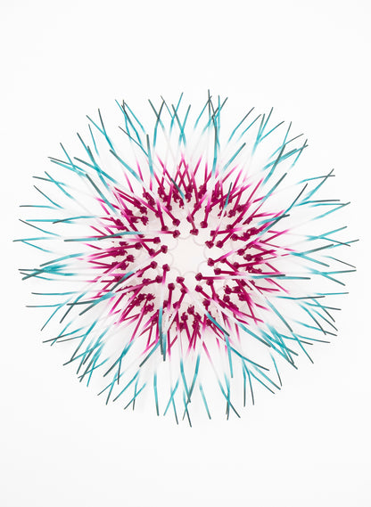 Mini Kina - Fuchsia / Teal