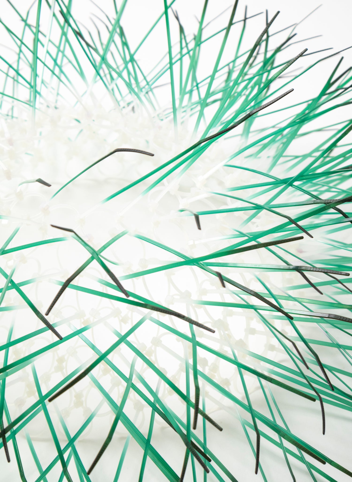 Large Kina - Green