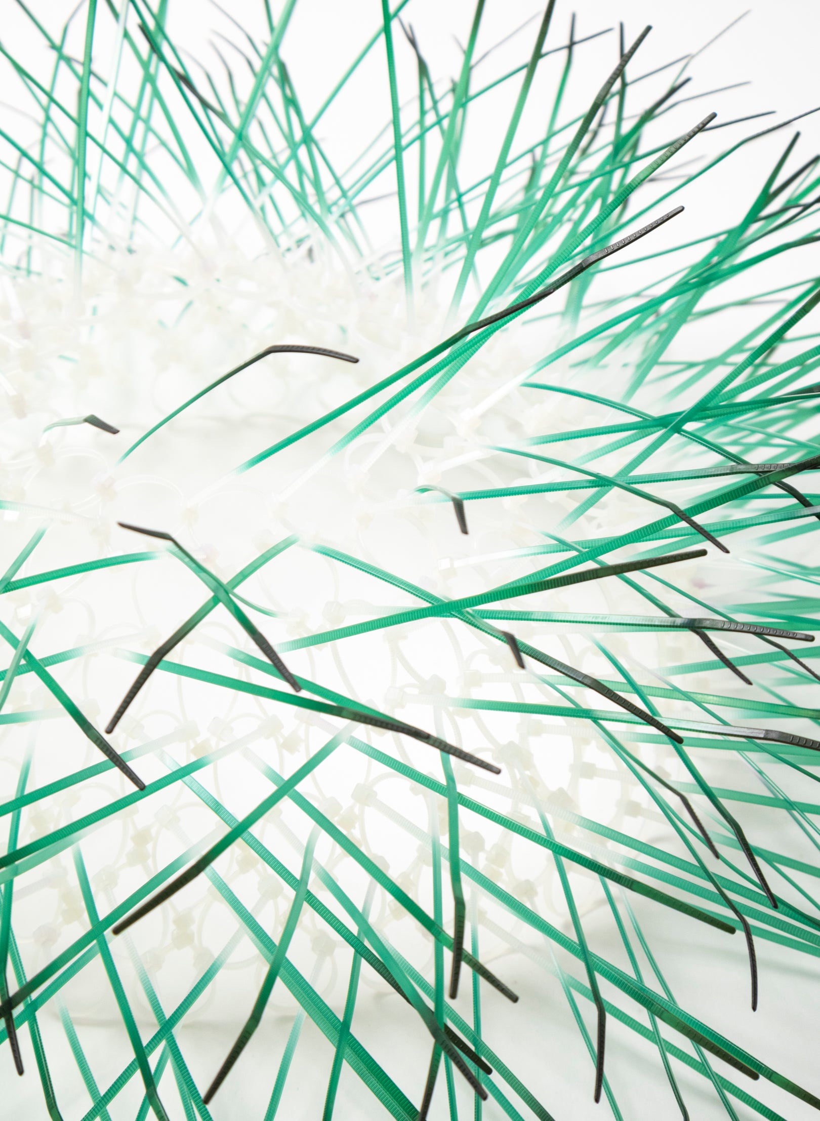 Large Kina - Green