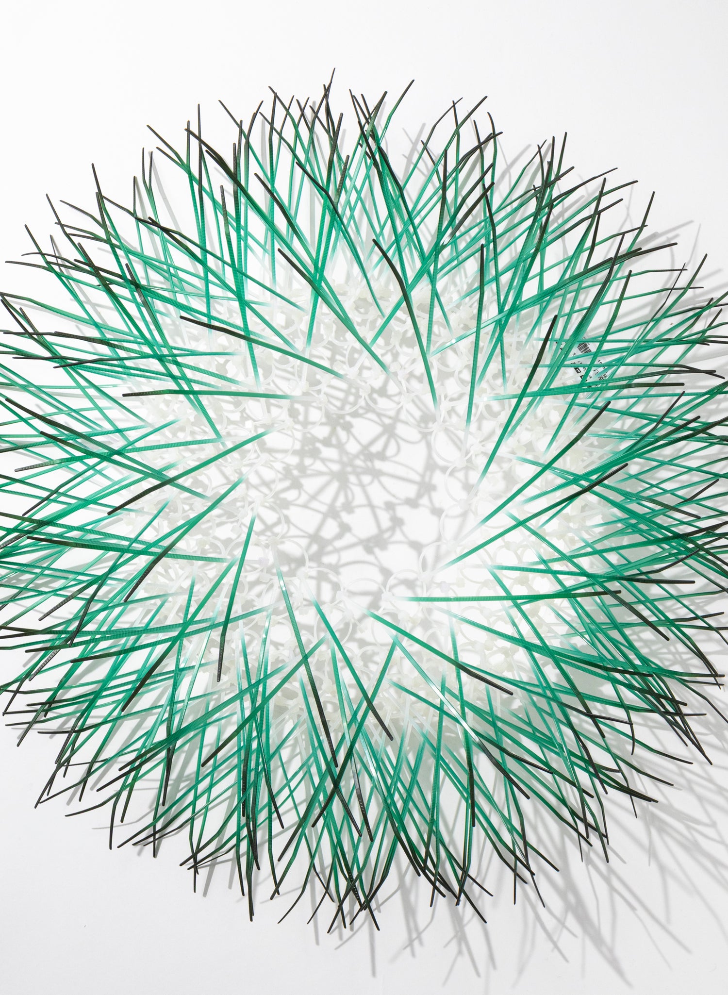 Large Kina - Green