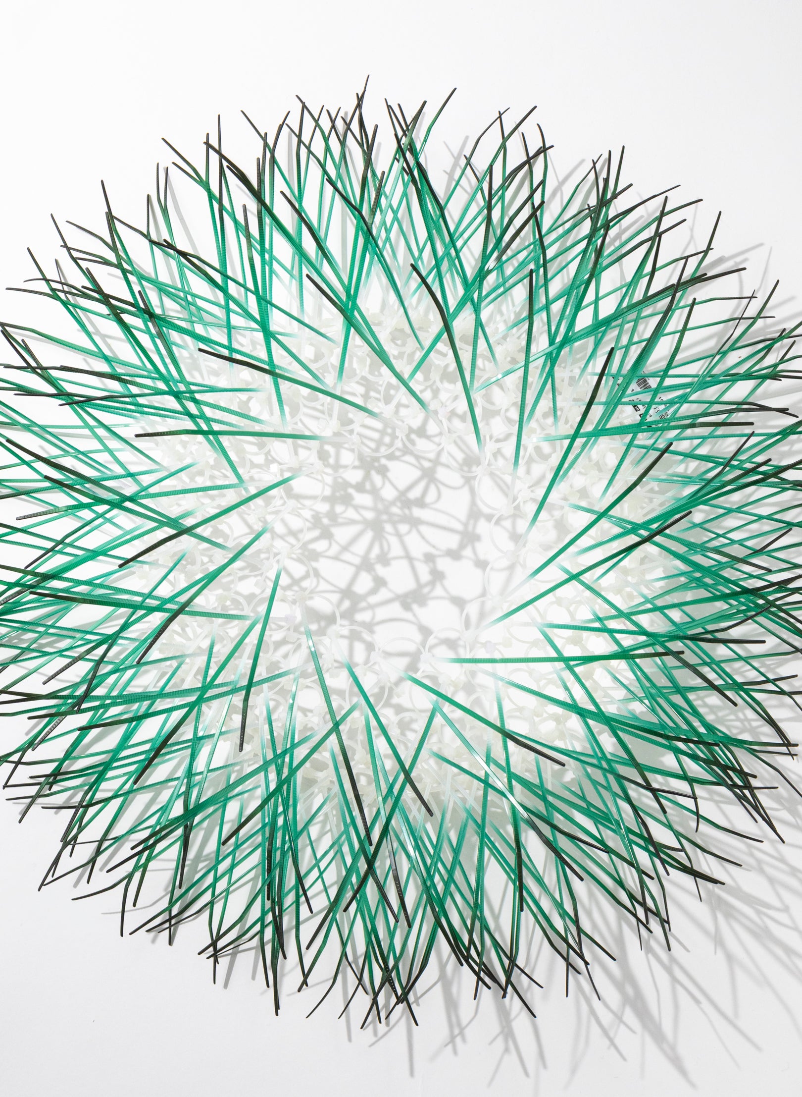 Large Kina - Green