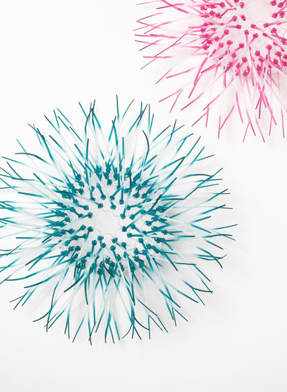 Mini Kina - Teal