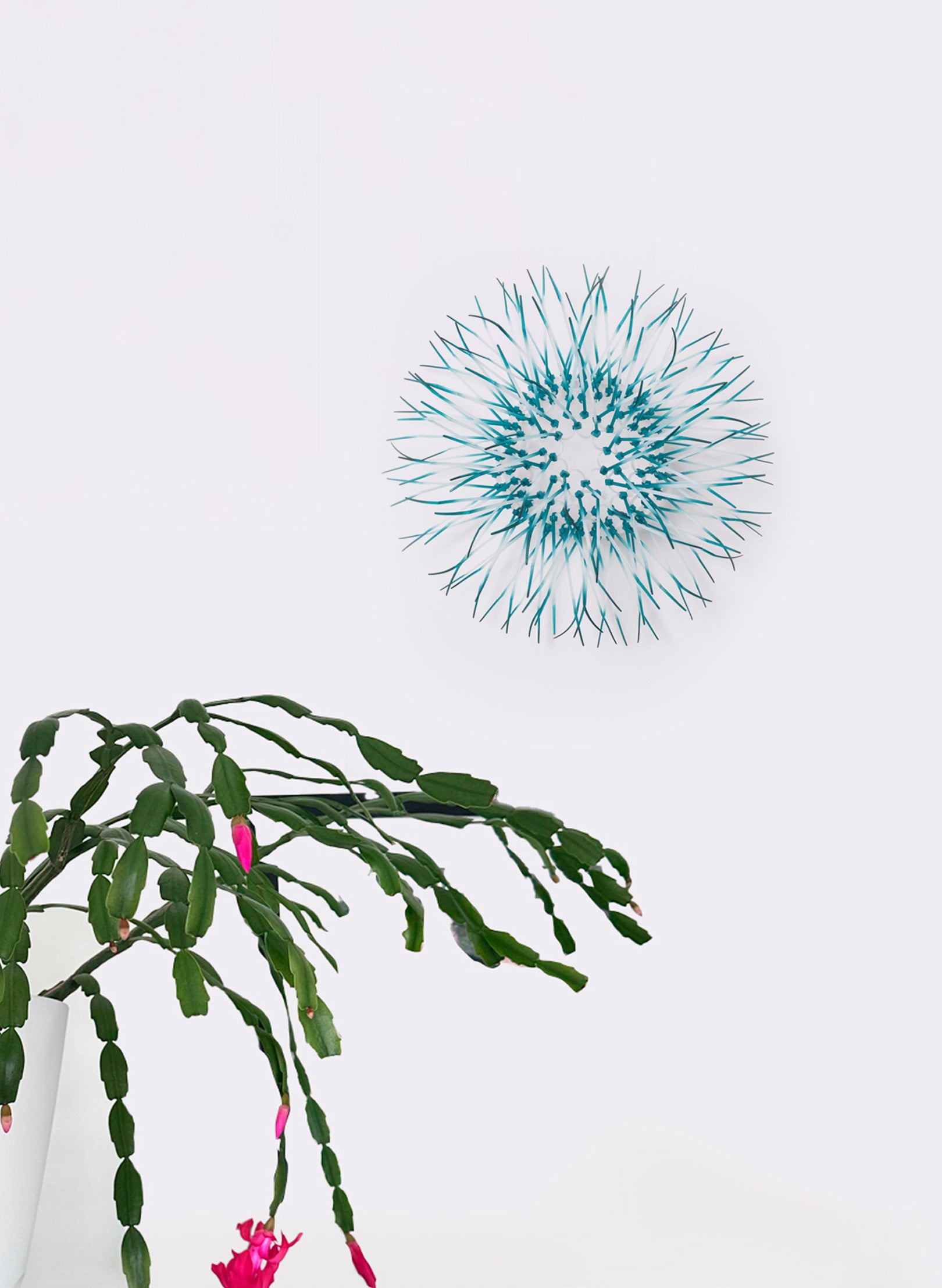 Mini Kina - Teal