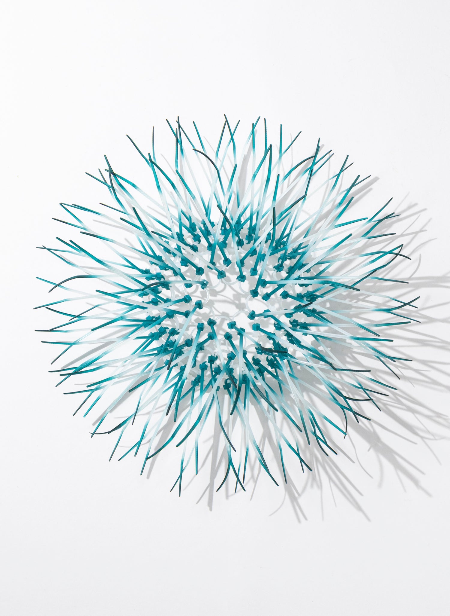 Mini Kina - Teal