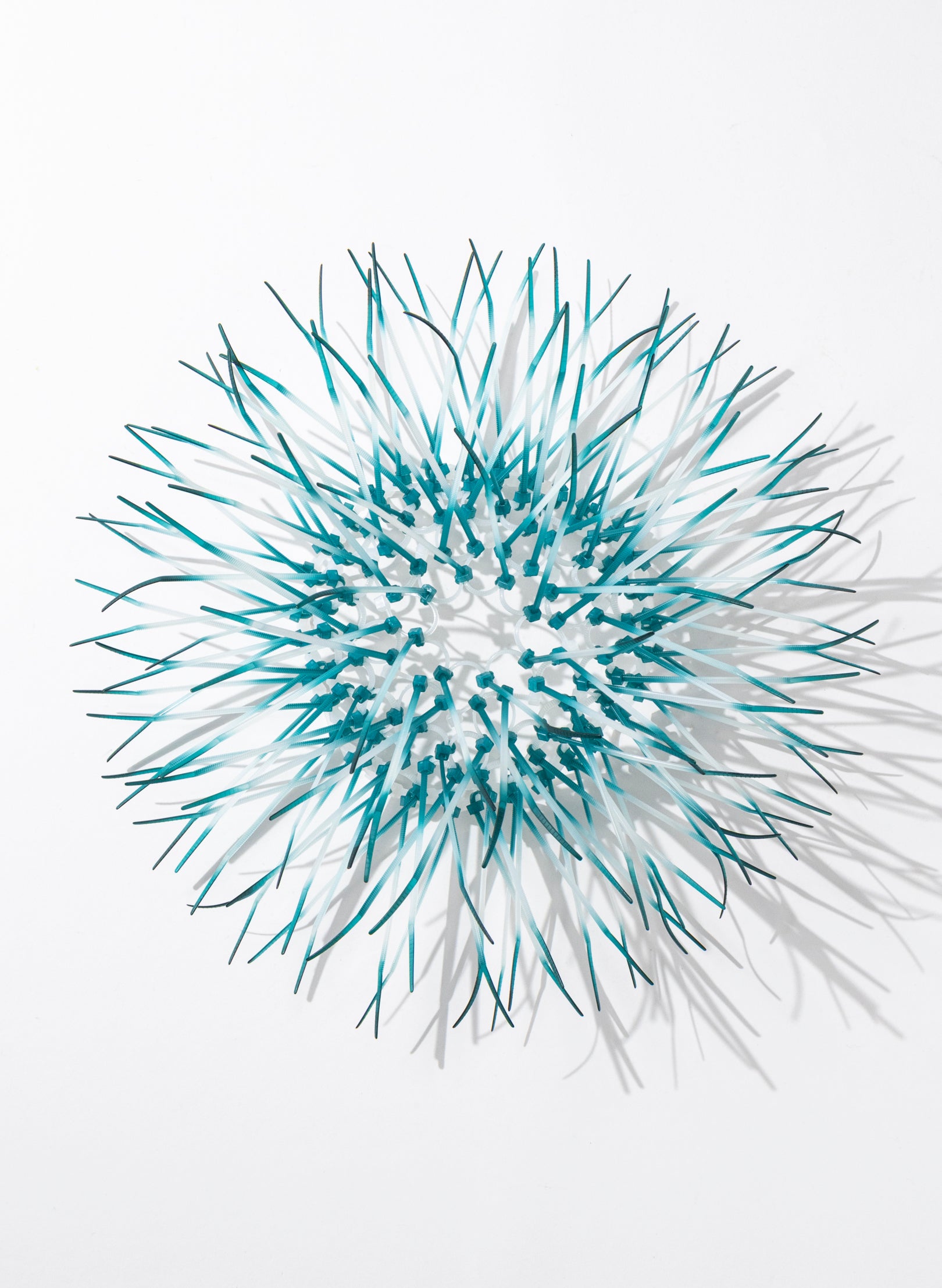 Mini Kina - Teal