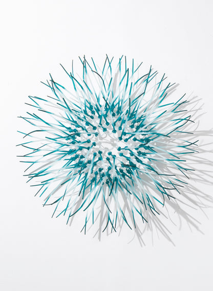 Mini Kina - Teal