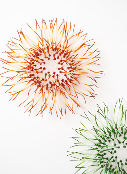 Mini Kina - Burnt Orange