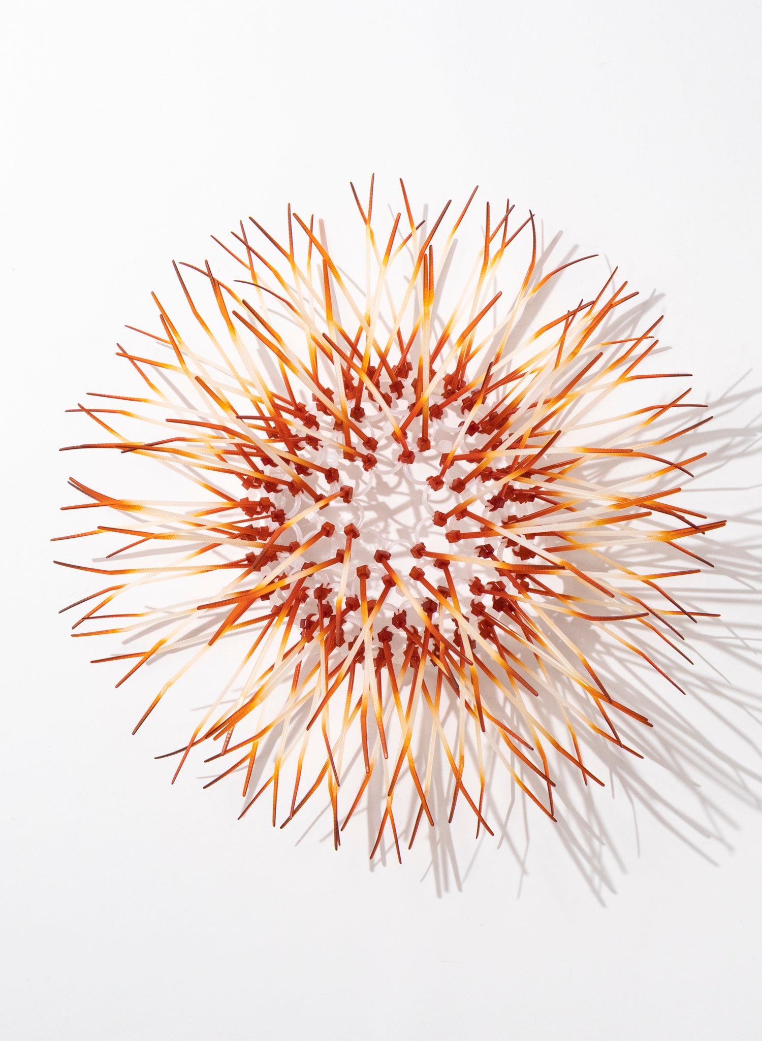 Mini Kina - Burnt Orange
