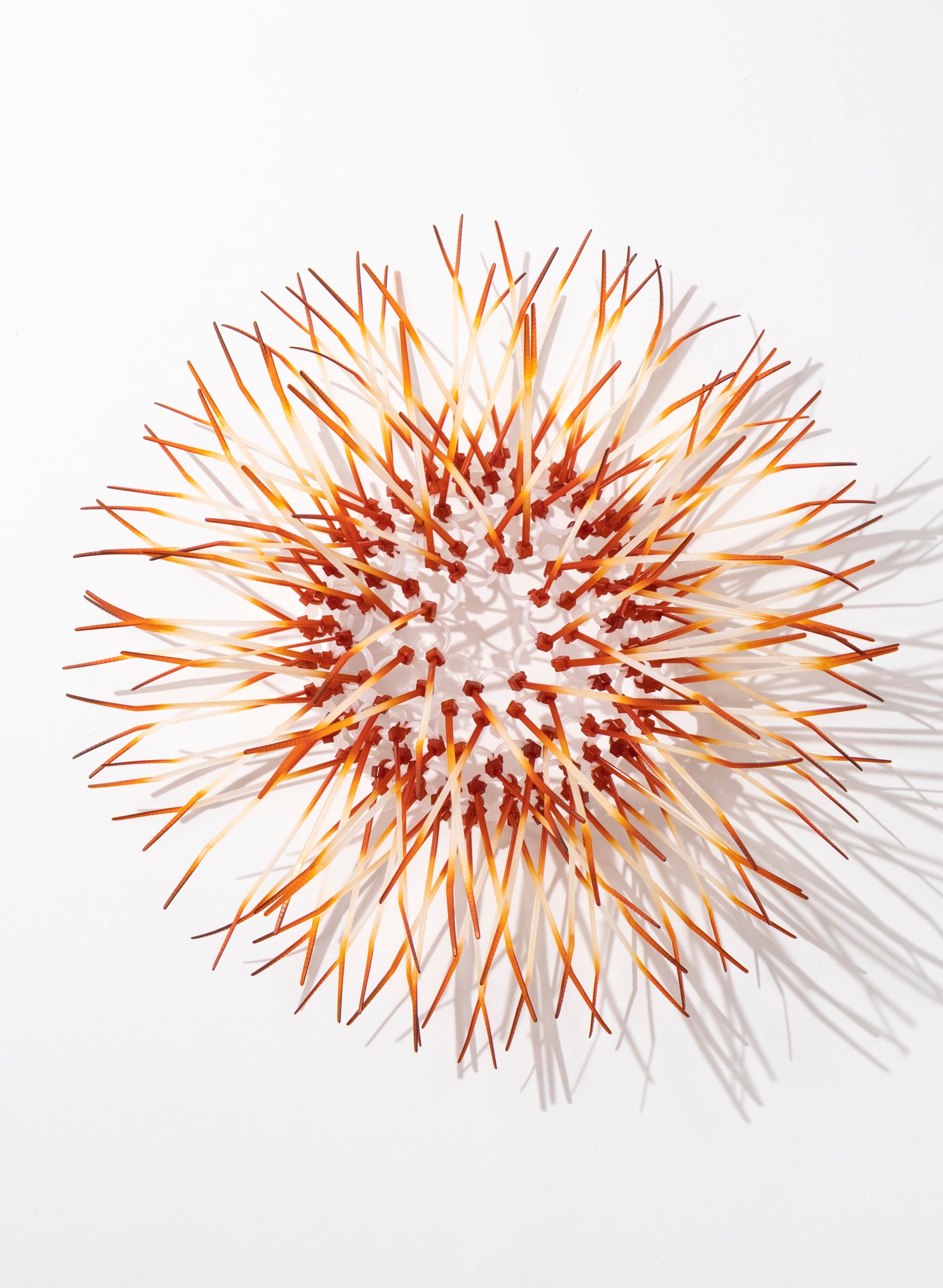 Mini Kina - Burnt Orange