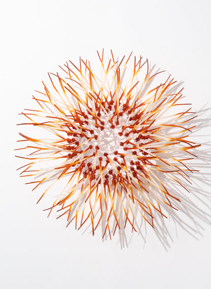Mini Kina - Burnt Orange