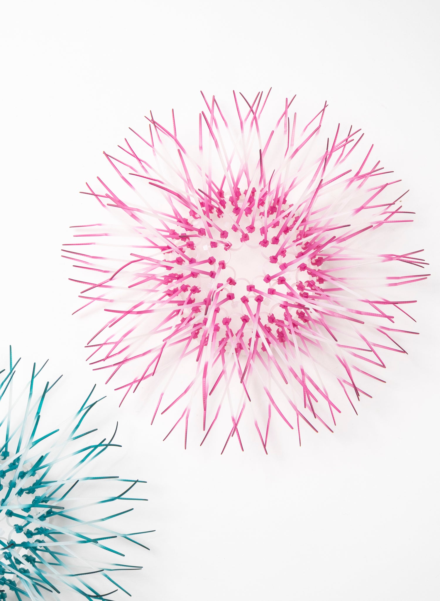 Mini Kina - Pink