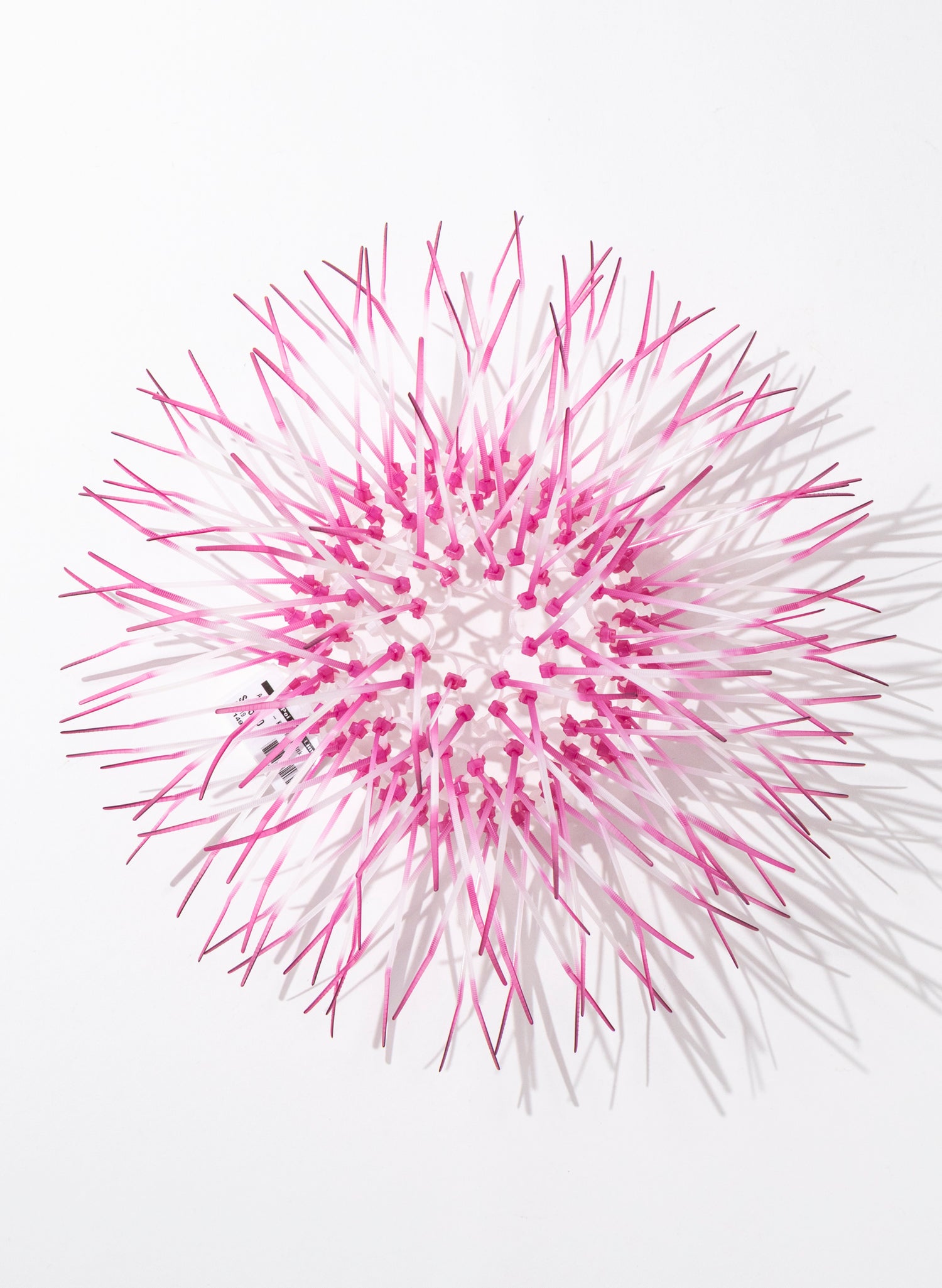 Mini Kina - Pink