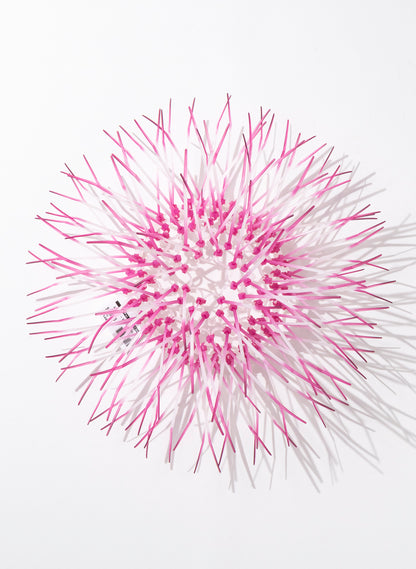 Mini Kina - Pink