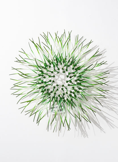 Mini Kina - Green