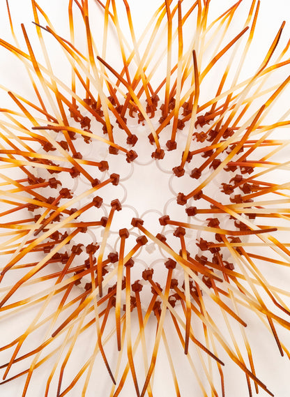 Mini Kina - Burnt Orange
