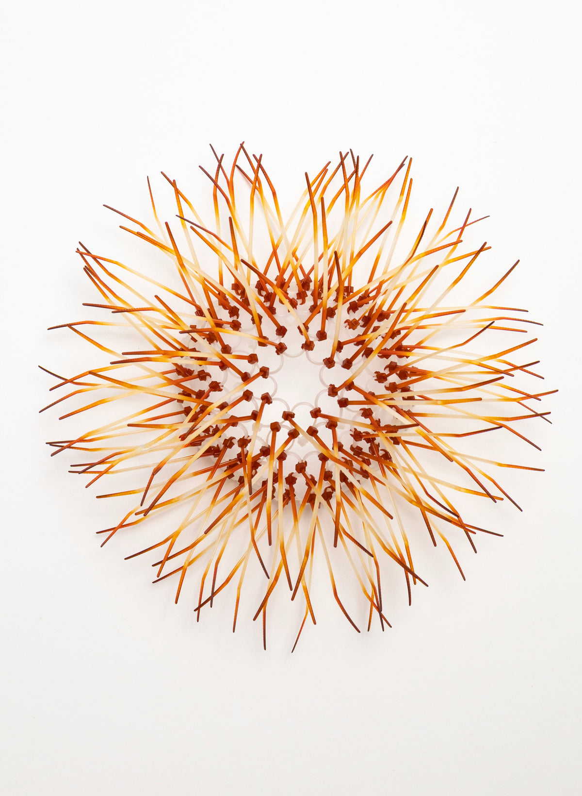Mini Kina - Burnt Orange
