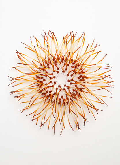 Mini Kina - Burnt Orange