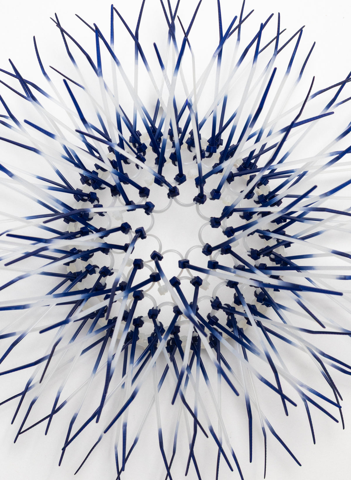 Mini Kina - Navy Blue