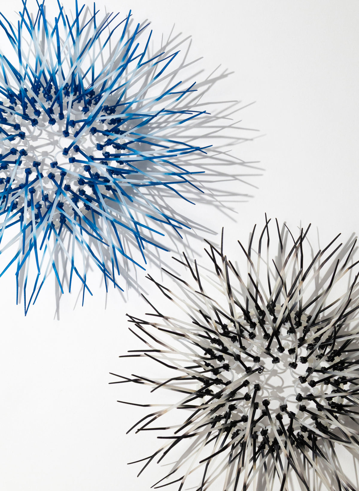 Mini Kina - Azure Blue