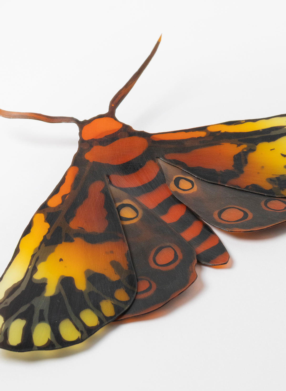 Tiger Moth