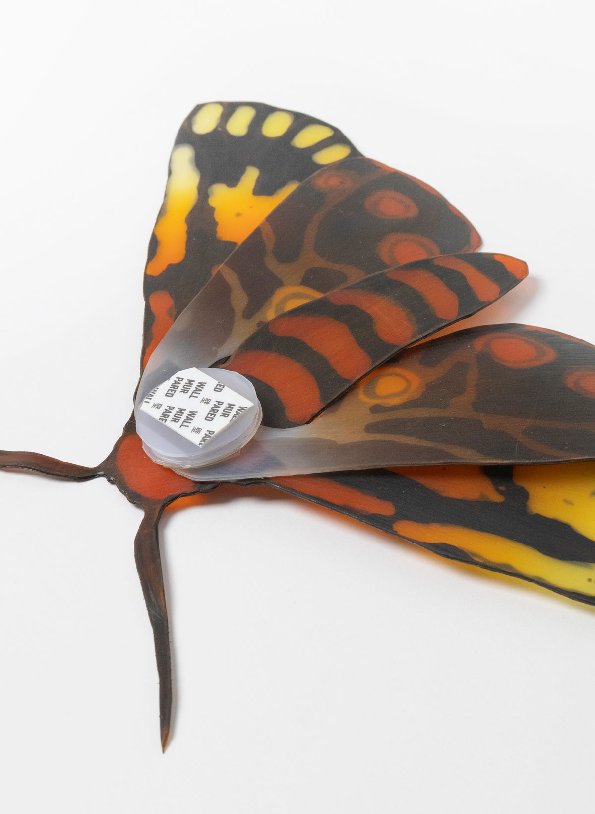 Tiger Moth