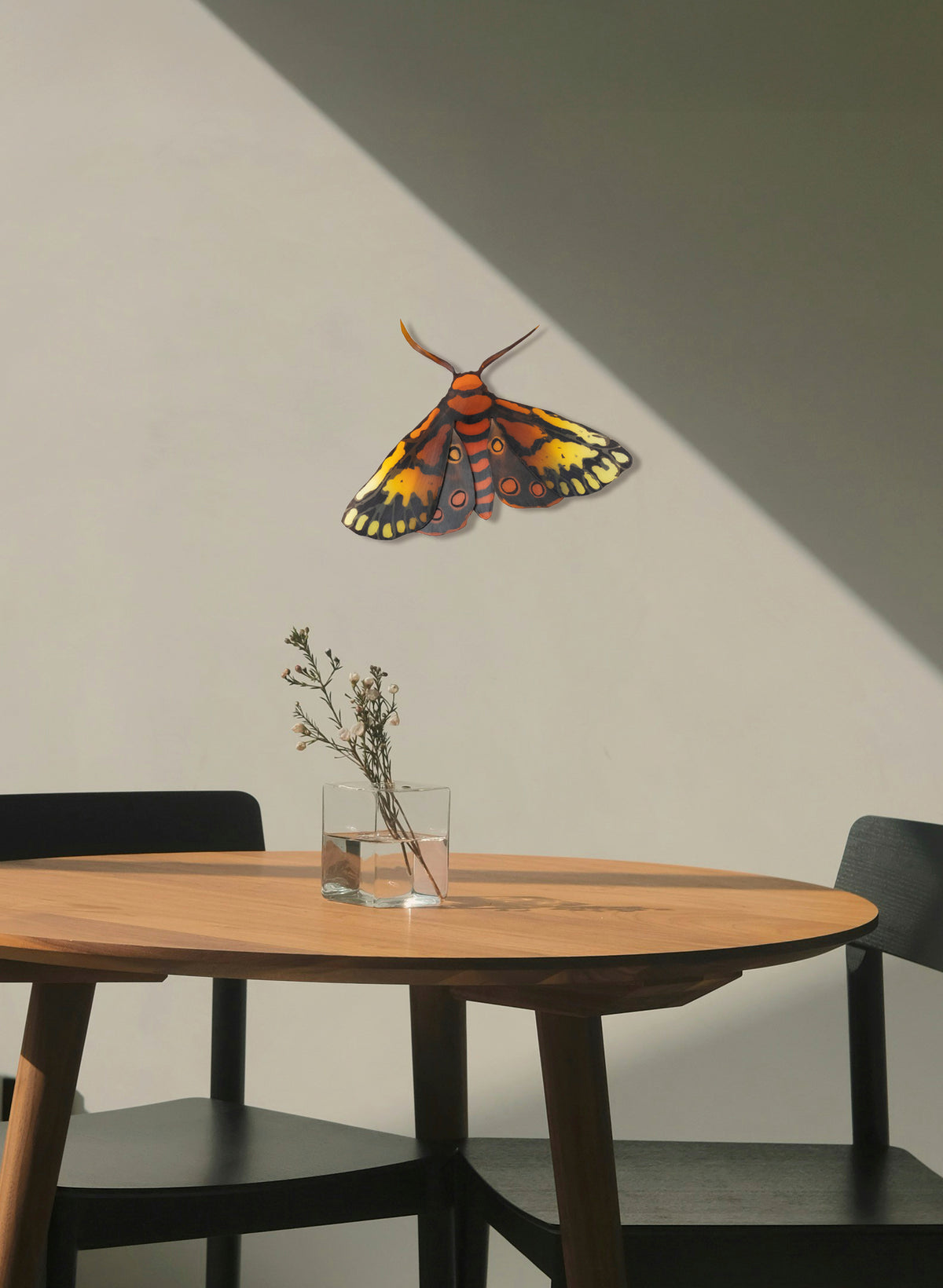 Tiger Moth