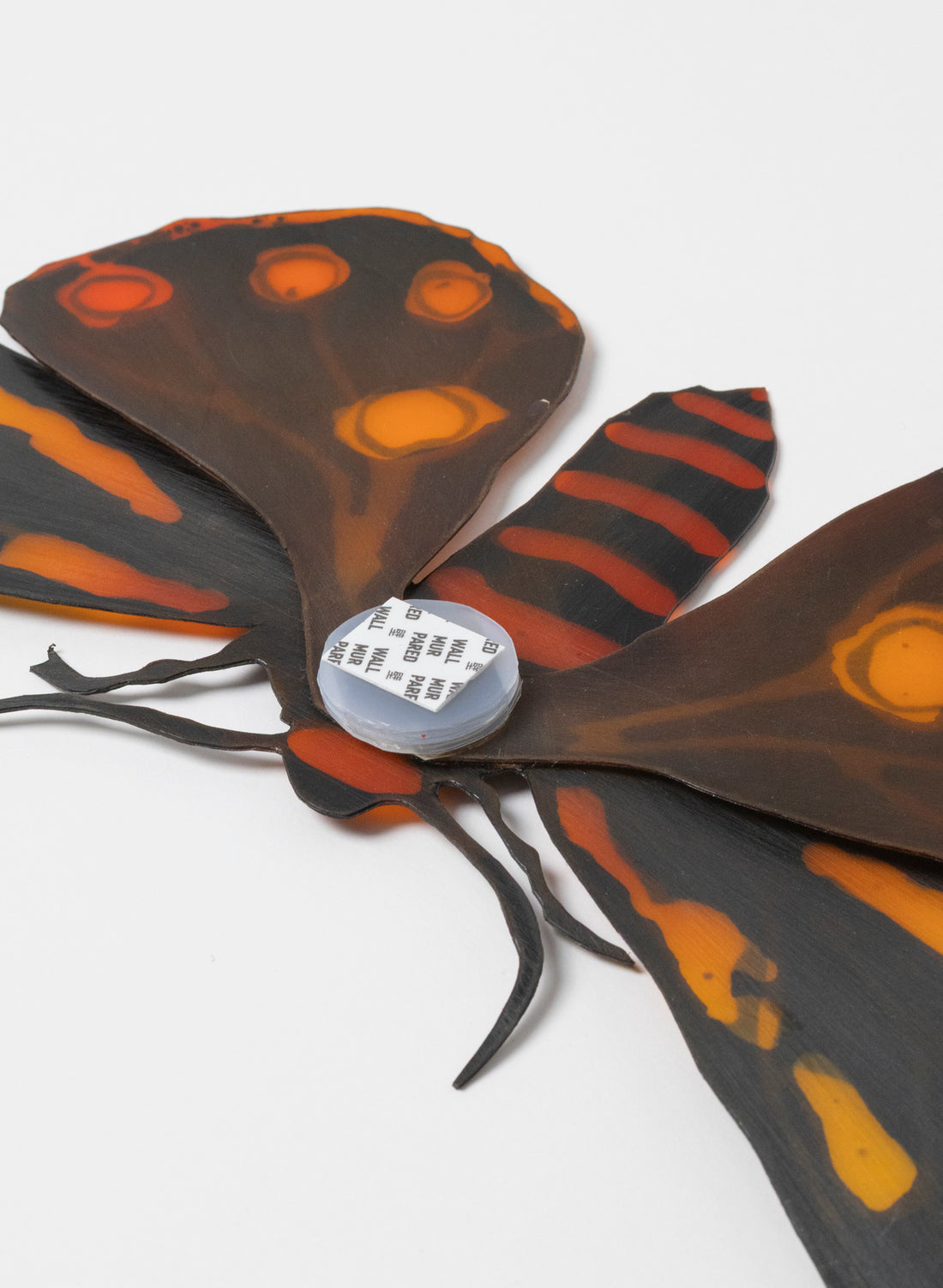 Tiger Moth
