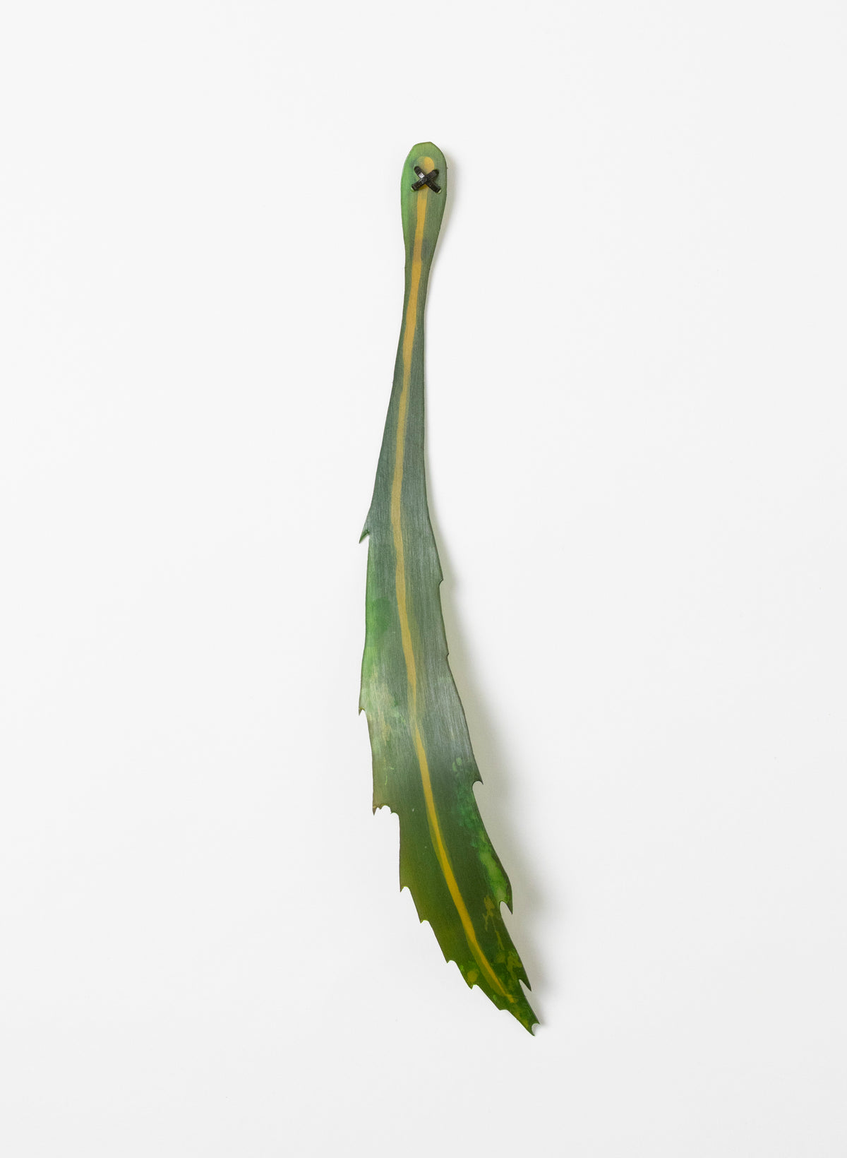 Lancewood Leaf - Small