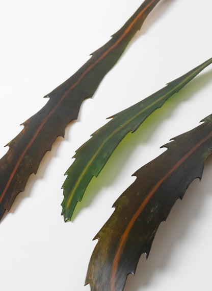 Lancewood Leaf - Small