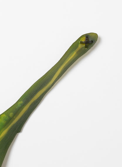 Lancewood Leaf - Small