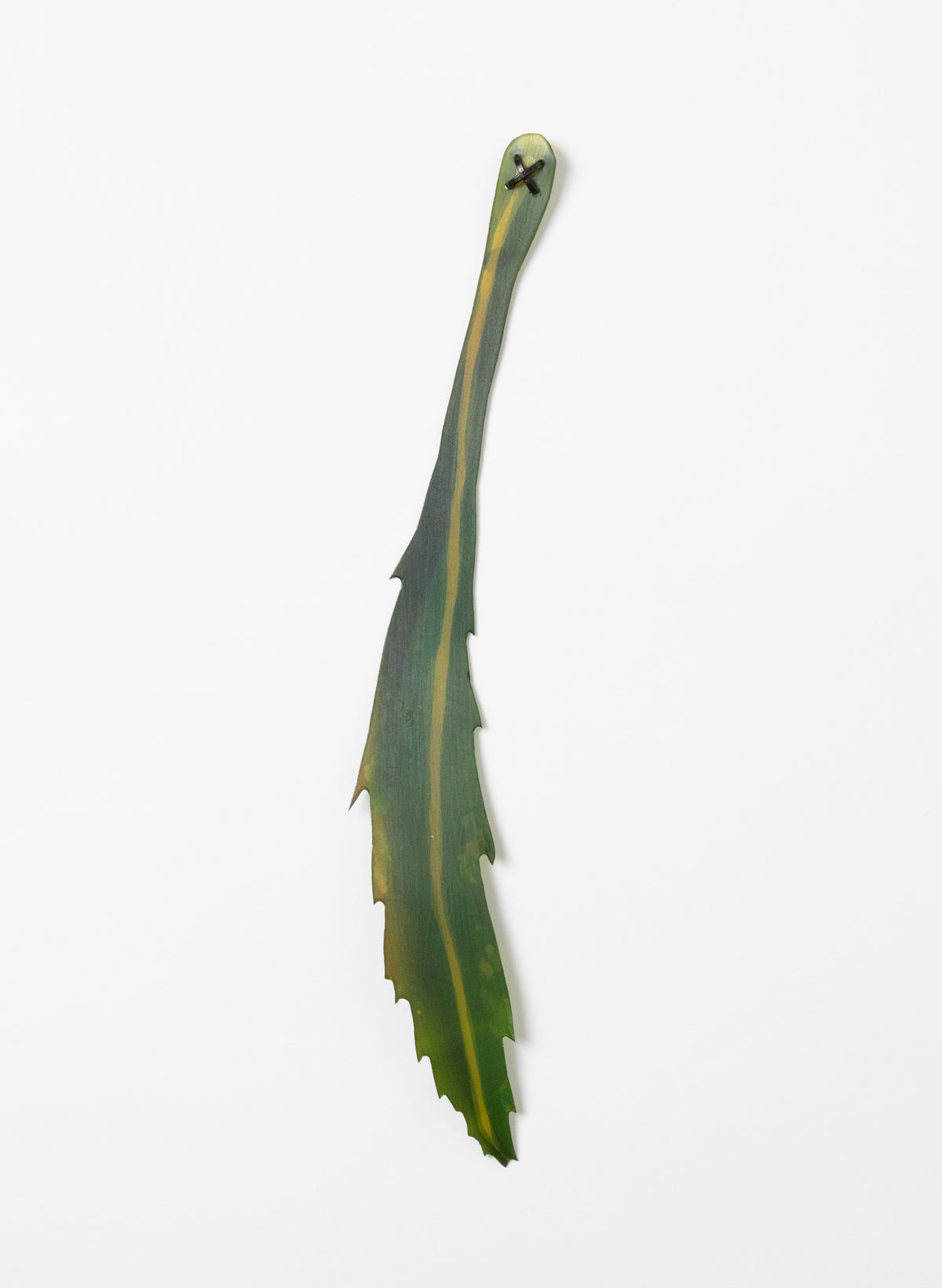 Lancewood Leaf - Small