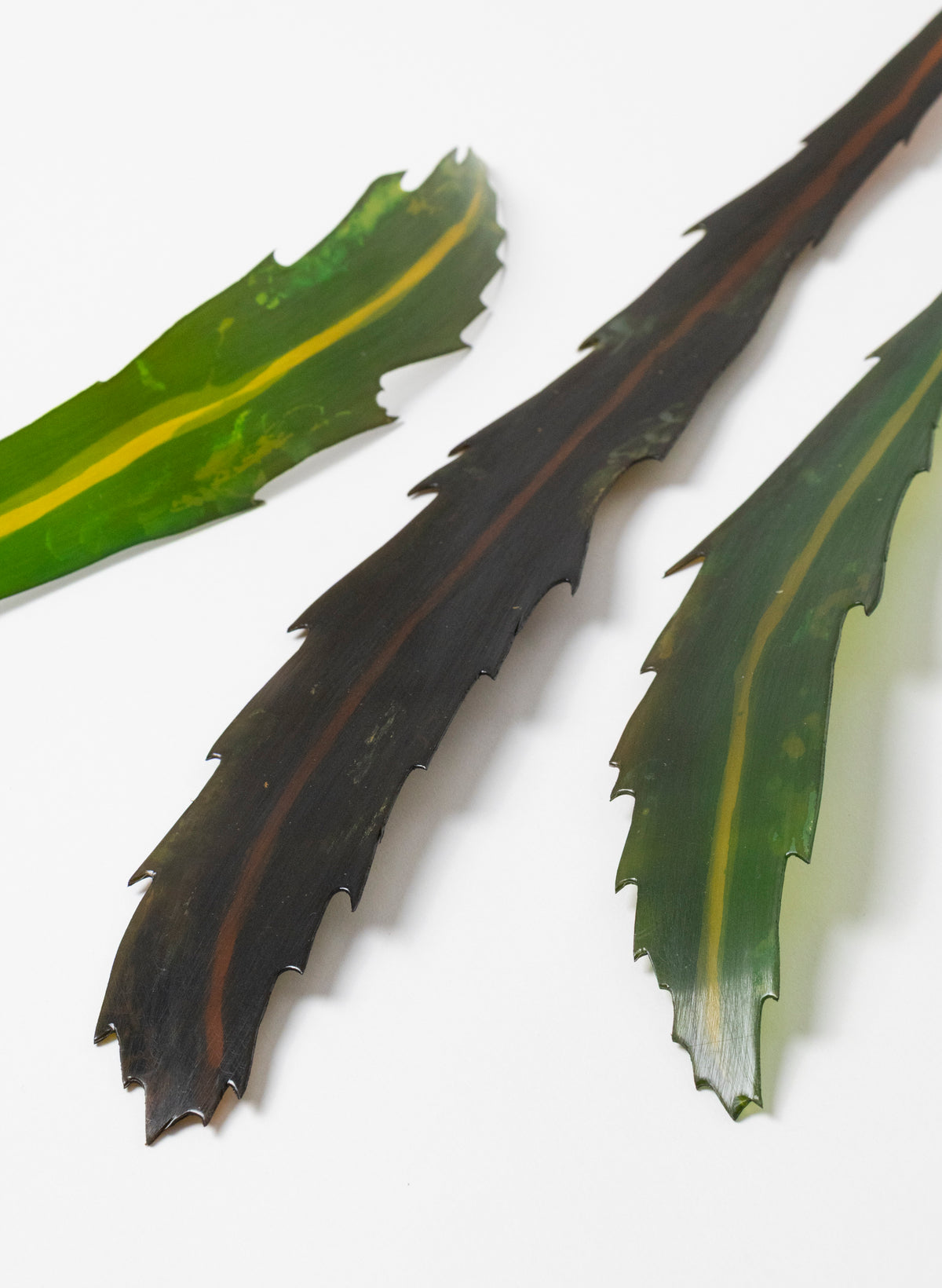 Lancewood Leaf - Small