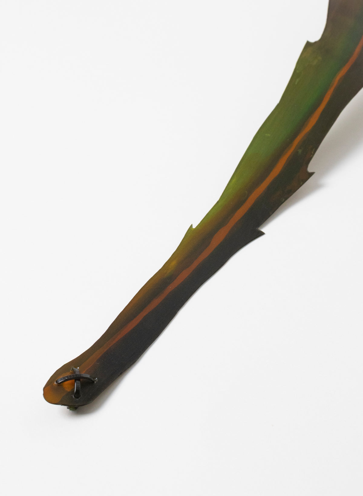 Lancewood Leaf - Medium
