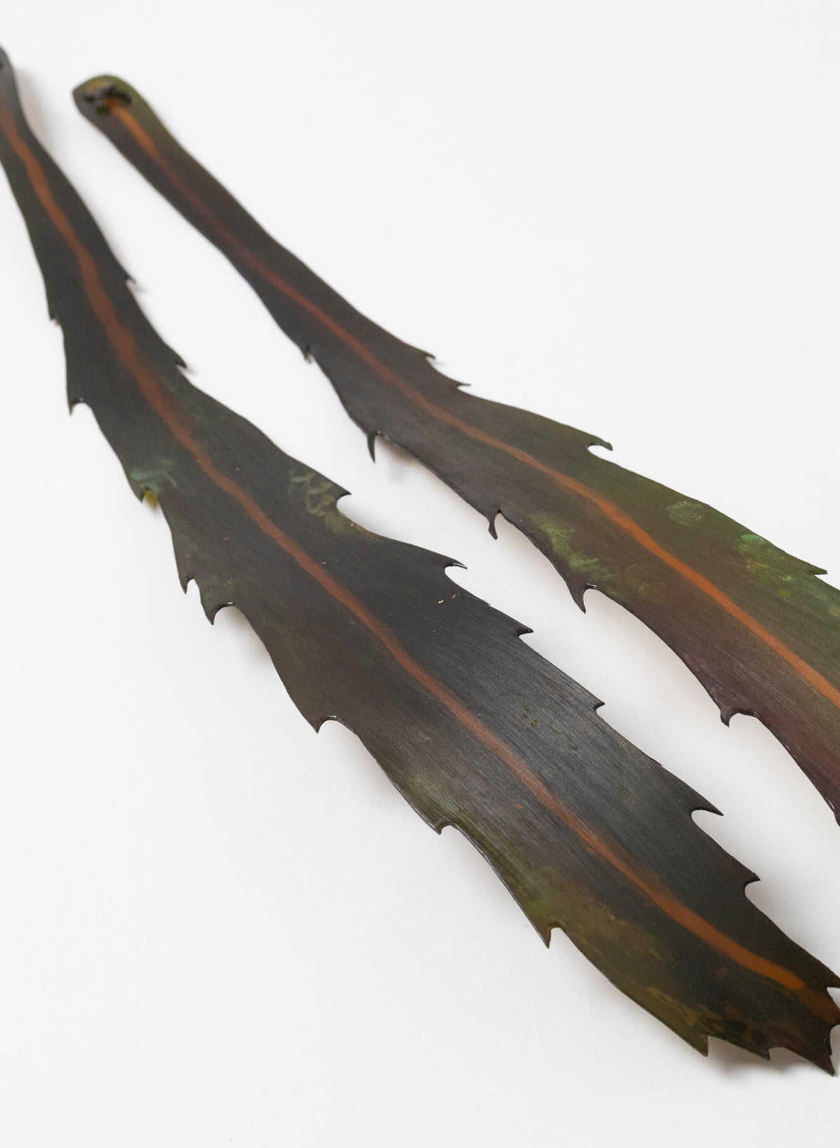 Lancewood Leaf - Medium