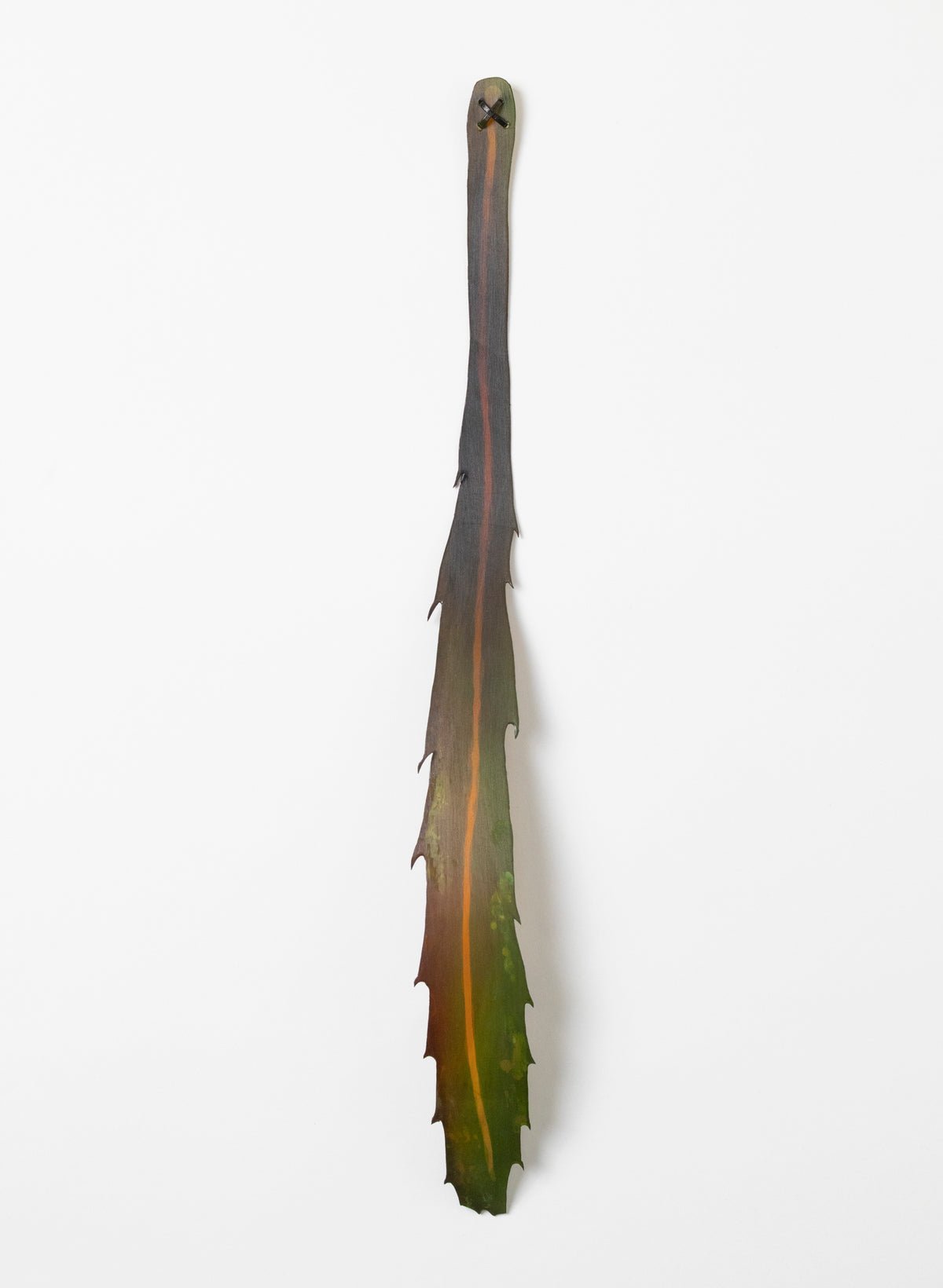 Lancewood Leaf - Medium